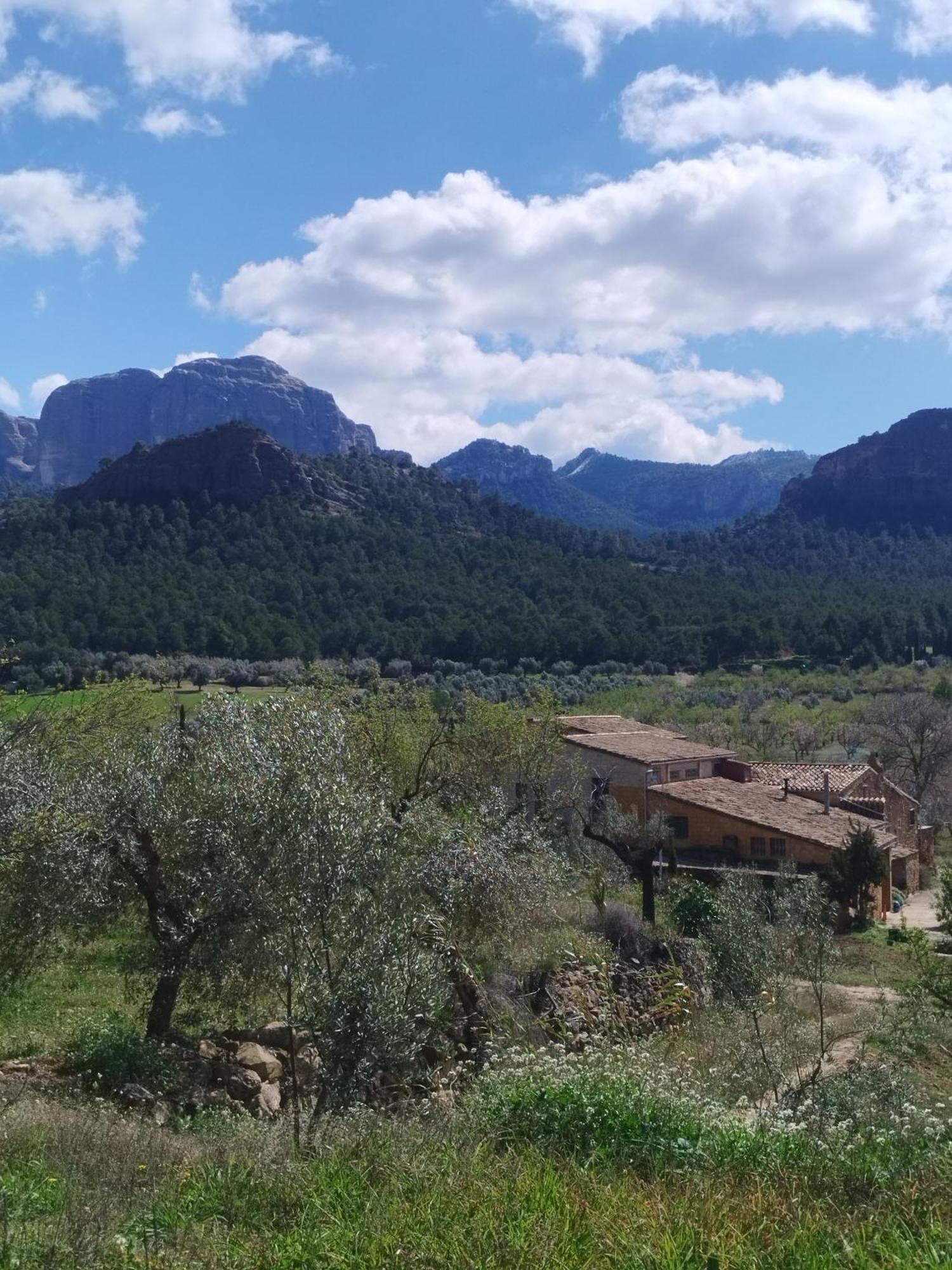 Ferienwohnung Mas De Manresa Horta de Sant Joan Exterior foto